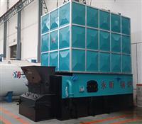 卧式生物质导热油炉